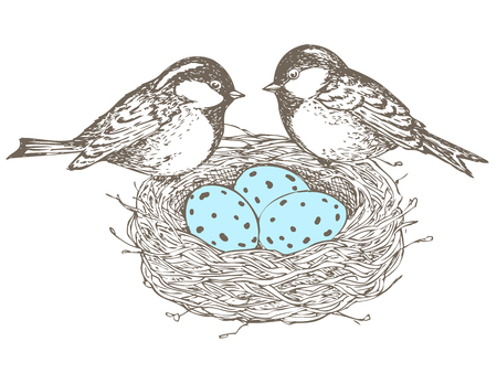 Birds, nest, eggs,のイラスト素材