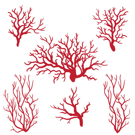 Sea coralsのイラスト素材