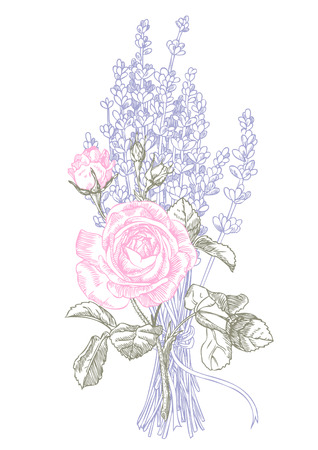 Hand drawn pen and ink lavender and roses illustration.のイラスト素材