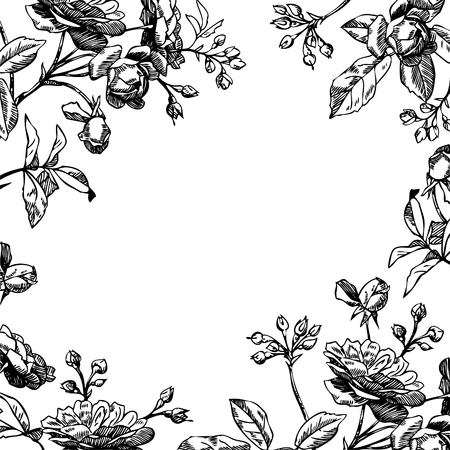 Hand drawn engraving illustration.のイラスト素材