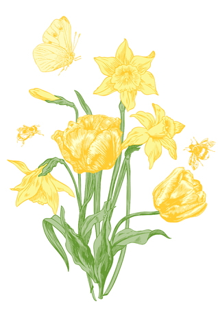 daffodils and tulips - pen and ink, engraved illustrationのイラスト素材
