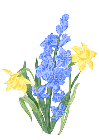 Hyacinth and dafodils spring flowers - hand drawn pen and ink illustration.のイラスト素材