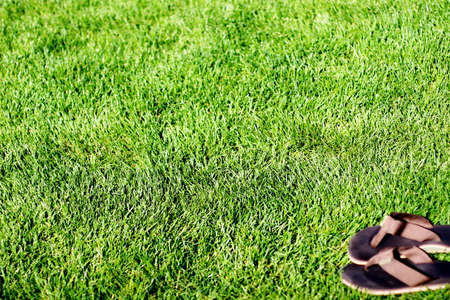 Green grass with sandals in the bottom rightの写真素材