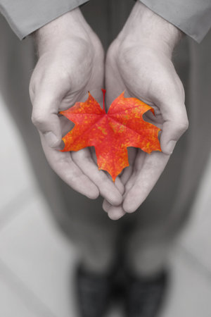 Orange leaf in the the hands of a man in gray tones