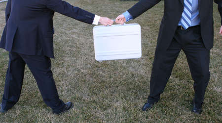 Two businessmen struggle over briefcase in the green grassの写真素材