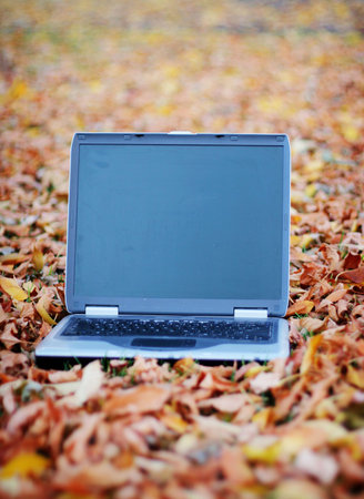 laptop outside