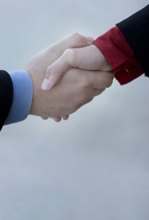 A businessman and a businesswoman give a handshake to seal the deal