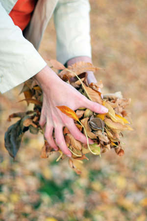 woman holding a bunch of leaves outside in the autumn with fallen leavesの写真素材