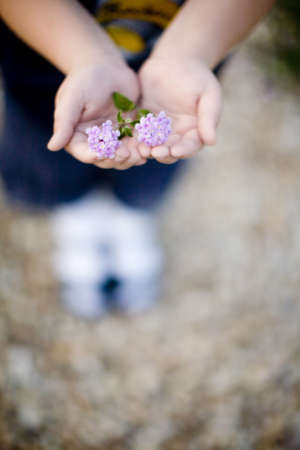 young boy holding flower in between his hands with care and tenderness outsideの写真素材