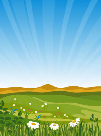 Summer landscape. Vector illustration.のイラスト素材