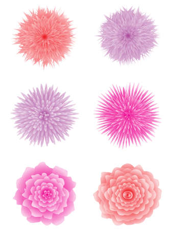 Set of flowers. Rose, aster and chrysanthemum のイラスト素材