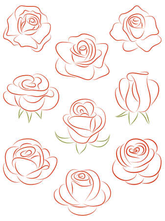 Set of roses. のイラスト素材