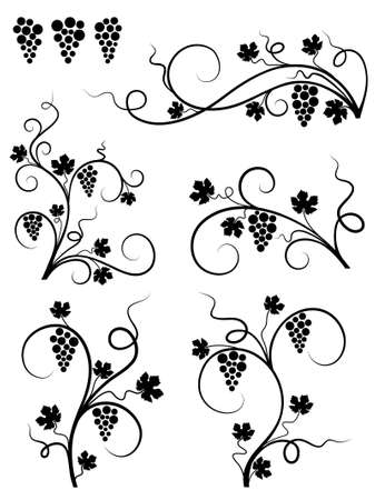 Grape design elements. Vector illustration.のイラスト素材