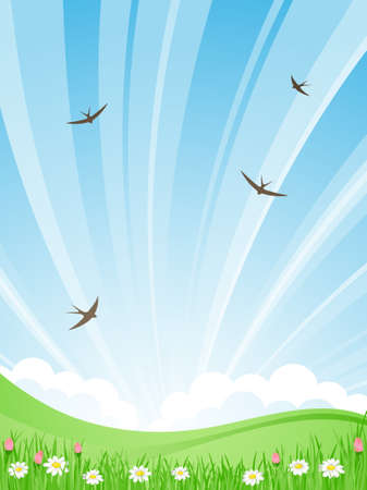 Summer landscape. Vector illustration.のイラスト素材