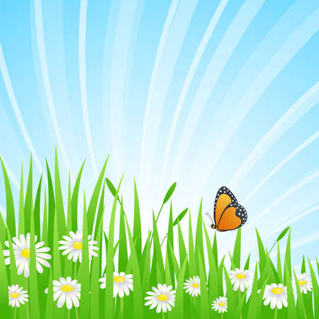 Summer landscape.  illustration.のイラスト素材