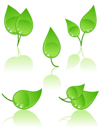 Set of leaves iconsのイラスト素材