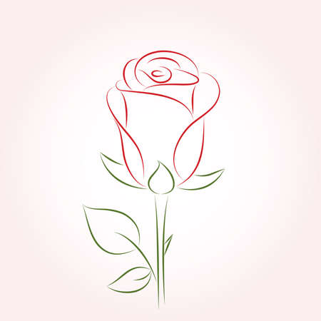 Single red rose on a pink background. Vector   illustration.のイラスト素材