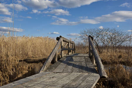 Small foot-bridge over the creek  Lac Saint-Francois National Wildlife area の写真素材