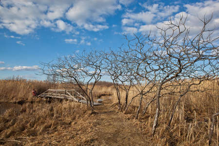 Small bridge over the creek, Quebec, Canadaの写真素材