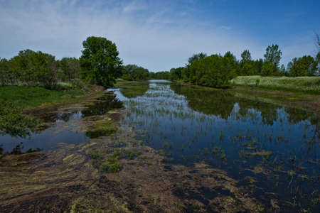 Summer day in Park Boucherville, Quebec, Canadaの写真素材