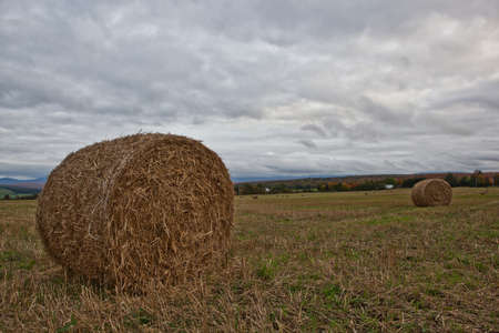 Autumn haying in Estrie, Quebecの写真素材