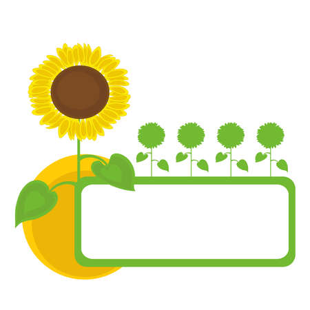 Sunflowers frame design with sun. Vector illustration.のイラスト素材