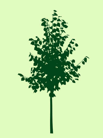Green tree silhouette.のイラスト素材