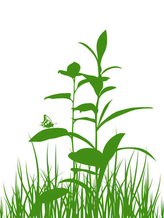 Green meadow herbs silhouettes with butterfly. Vector illustration.のイラスト素材