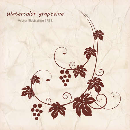 Grape vine with grunge paper texture background. Vector illustration.のイラスト素材