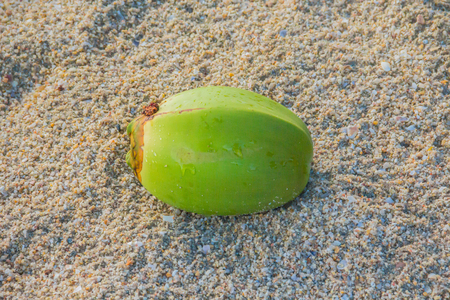 coconut on beach , select focusの写真素材