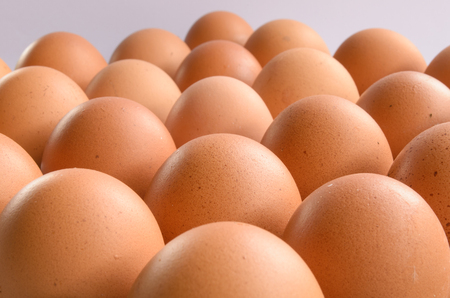 group of eggs in rowの写真素材