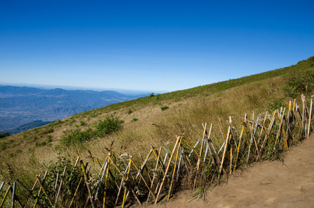 dry grass field on hill with blue skyの写真素材