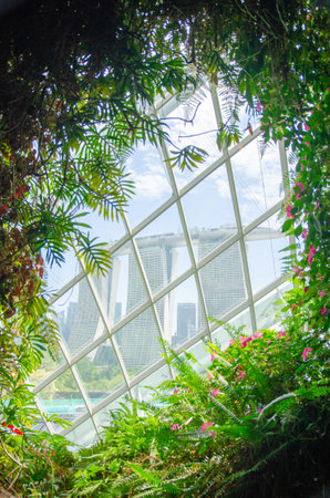 Singapore â August 4, 2024: Cloud Forest by the Bay. the giant indoor forest imitates the biosphere of a tropical highlandの写真素材