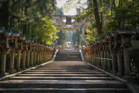 A magnificent shrine in Japan.の写真素材