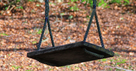 Close- up of a swing in motion with forest cover in the background symbolizing fun, children's play area and freedomの写真素材