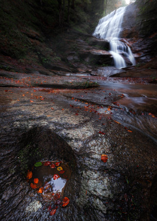 Waterfall in the forest with fallen leaves on the rocks in autumn.の写真素材