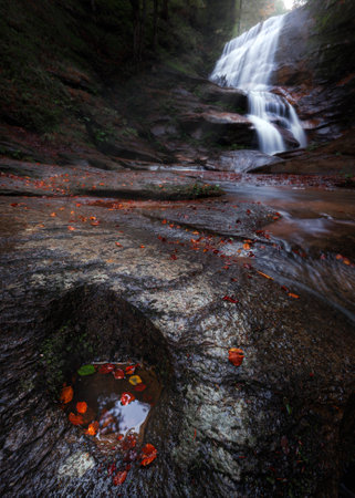 Waterfall in the autumn forest with fallen leaves in the foreground.の写真素材