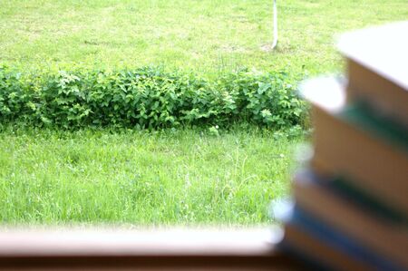 the bookの写真素材