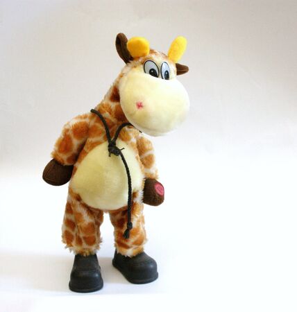 giraffeの写真素材