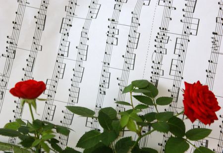 Red rose against notesの写真素材