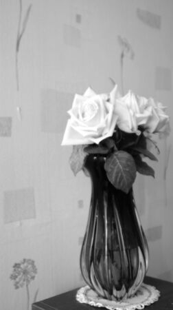 Roseの写真素材