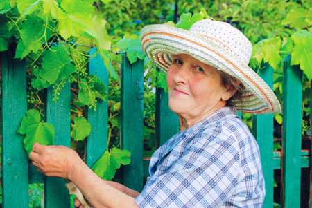 Senior Woman in Hat Working in the Garden. Healthy Lifestyle