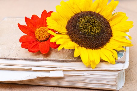 Nature Background - Garden Flowers on Old Book Texture - Vintage Effectsの写真素材