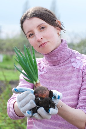 Young Woman working in the Garden. Gardening. Healthy Lifestyleの写真素材