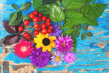 Bright Flowers of top view on blue wooden backgroundの写真素材