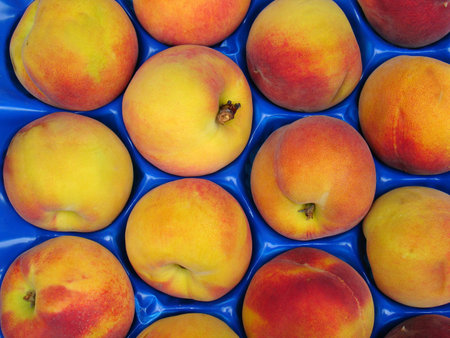 Palette of fresh peaches