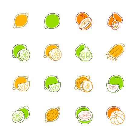 Citrus fruits icons - Lemon, orange and pomeloのイラスト素材