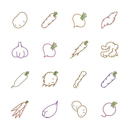 Vegetables icons - Potato, carrot and garlic.のイラスト素材