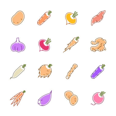 Vegetables icons - Potato, carrot and garlic.のイラスト素材