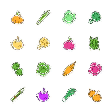 Vegetables icons. Vegetables and seasoning in filled outline style.のイラスト素材